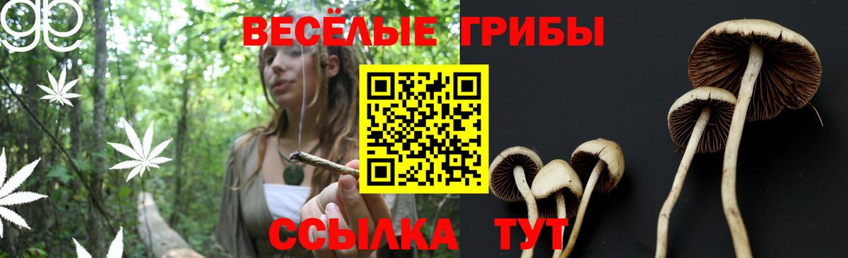Галлюциногенные грибы MAGIC MUSHROOMS Воткинск